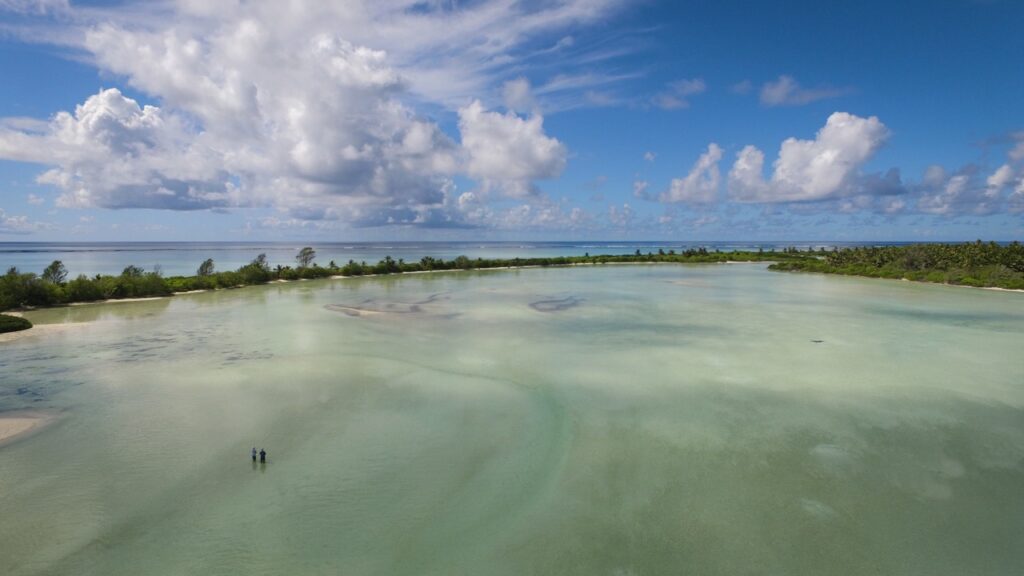 Blue Safari Seychelles