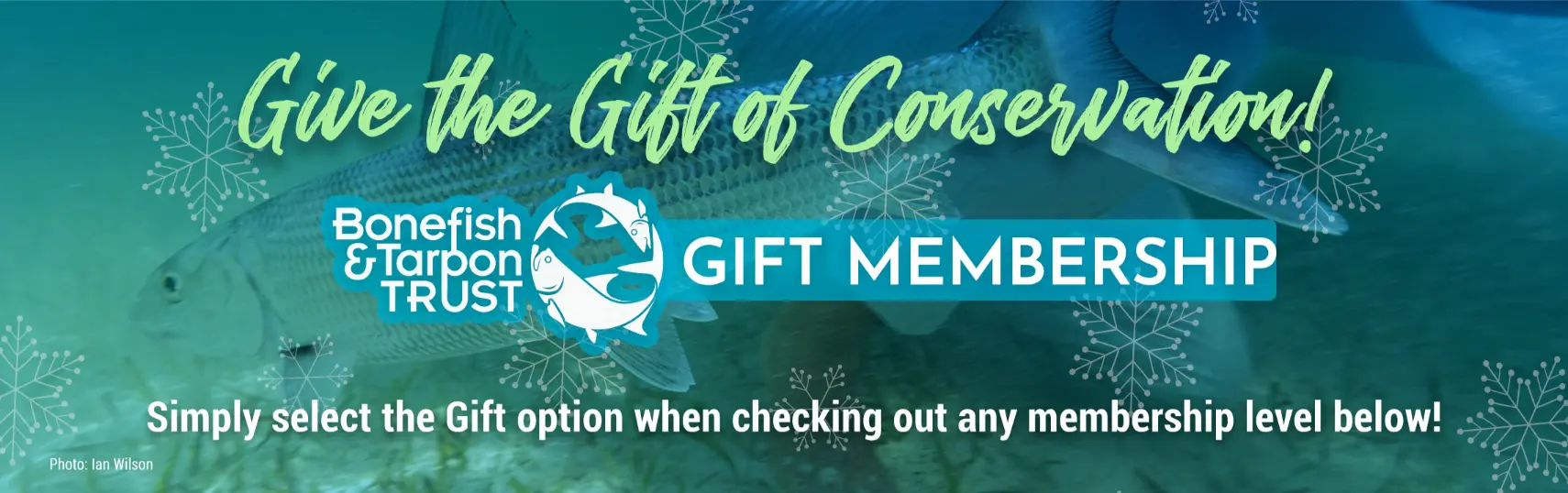 BTT Holiday Gift Membership