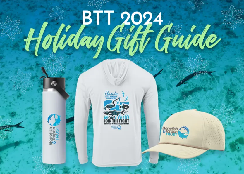 holiday gift guide 2024