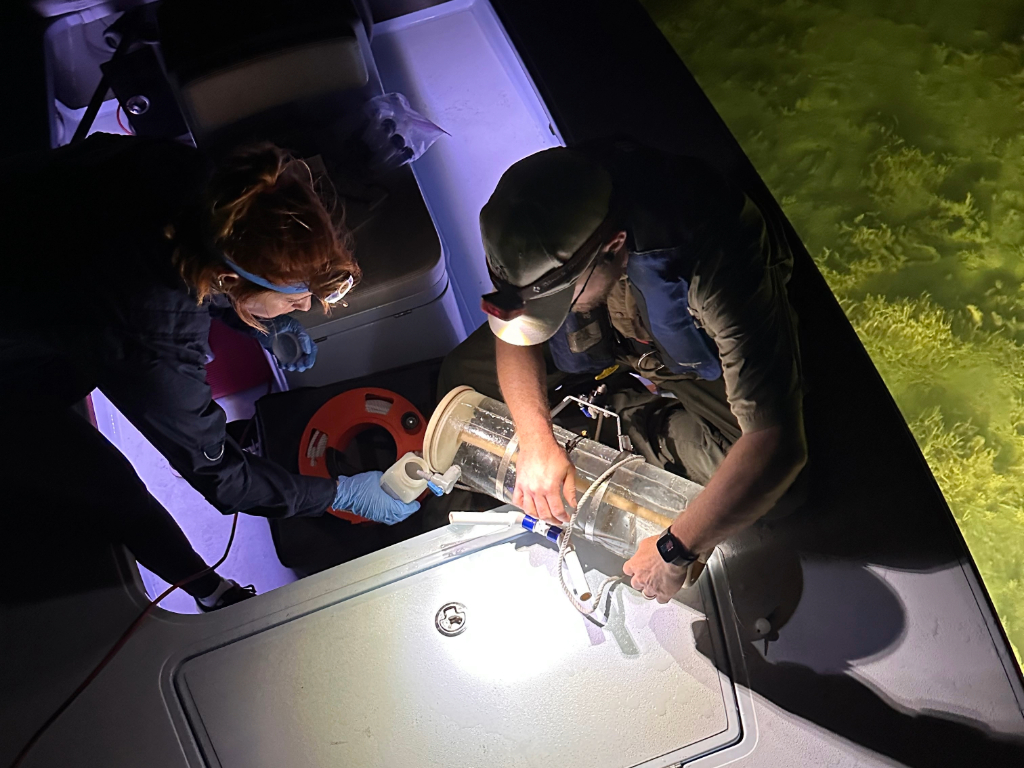 Researchers collect water samples at night on a skiff.