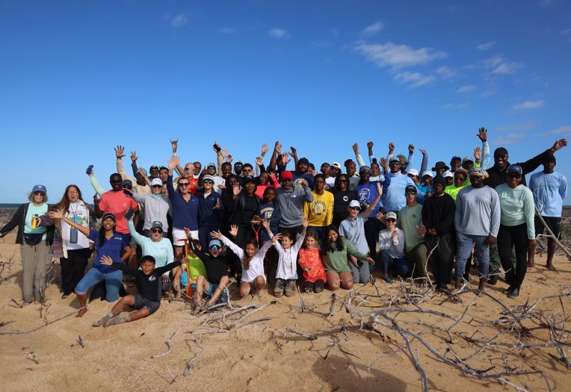 BTT partners, volunteers, government officials, bonefish guides, and students gathered at Dover Sound, GBI, to plant the 100,000th mangrove seedling since 2020.