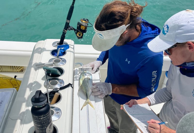 BTT’s Dr. Ross Boucek and Sarah Hamlyn sample a jack in the Florida Keys. Photo: Florida FWC