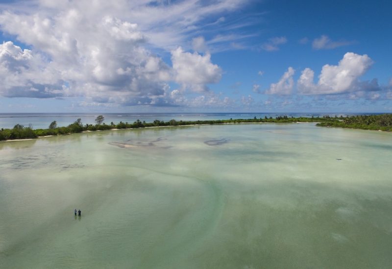 Blue Safari Seychelles